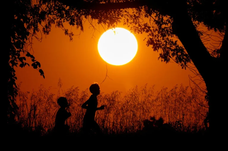 La esperanza de vida en EU alcanzó su máximo histórico en 2024